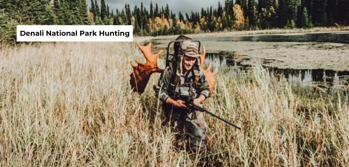 post-Denali National Park Hunting: Regulations & Tips