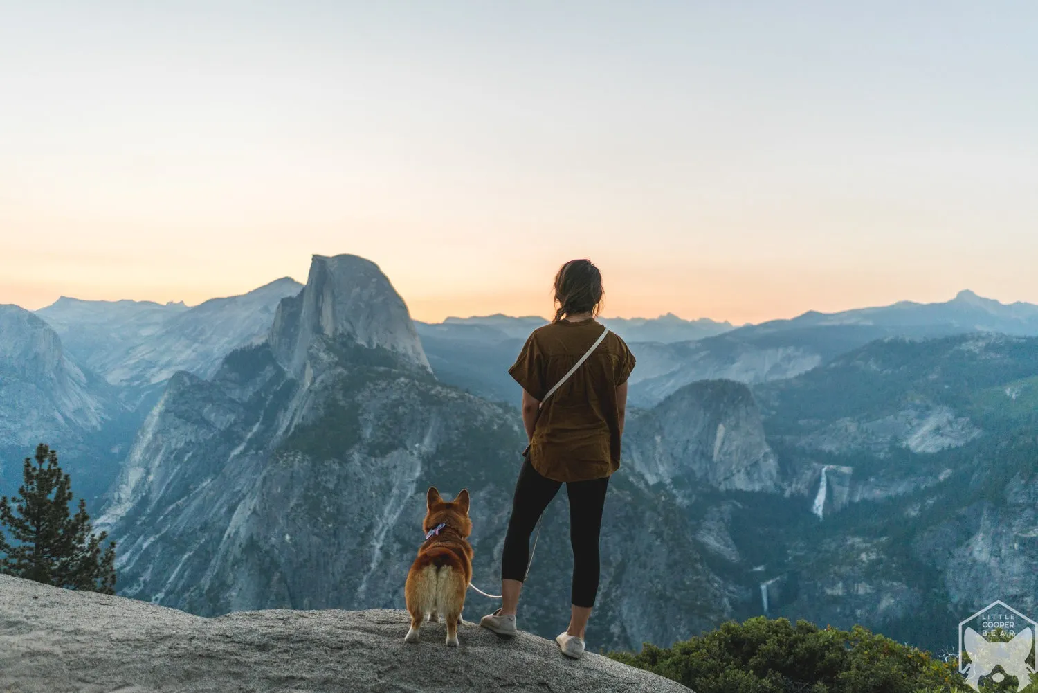 post-Dog Friendly National Parks: Best U.S. Parks to Visit