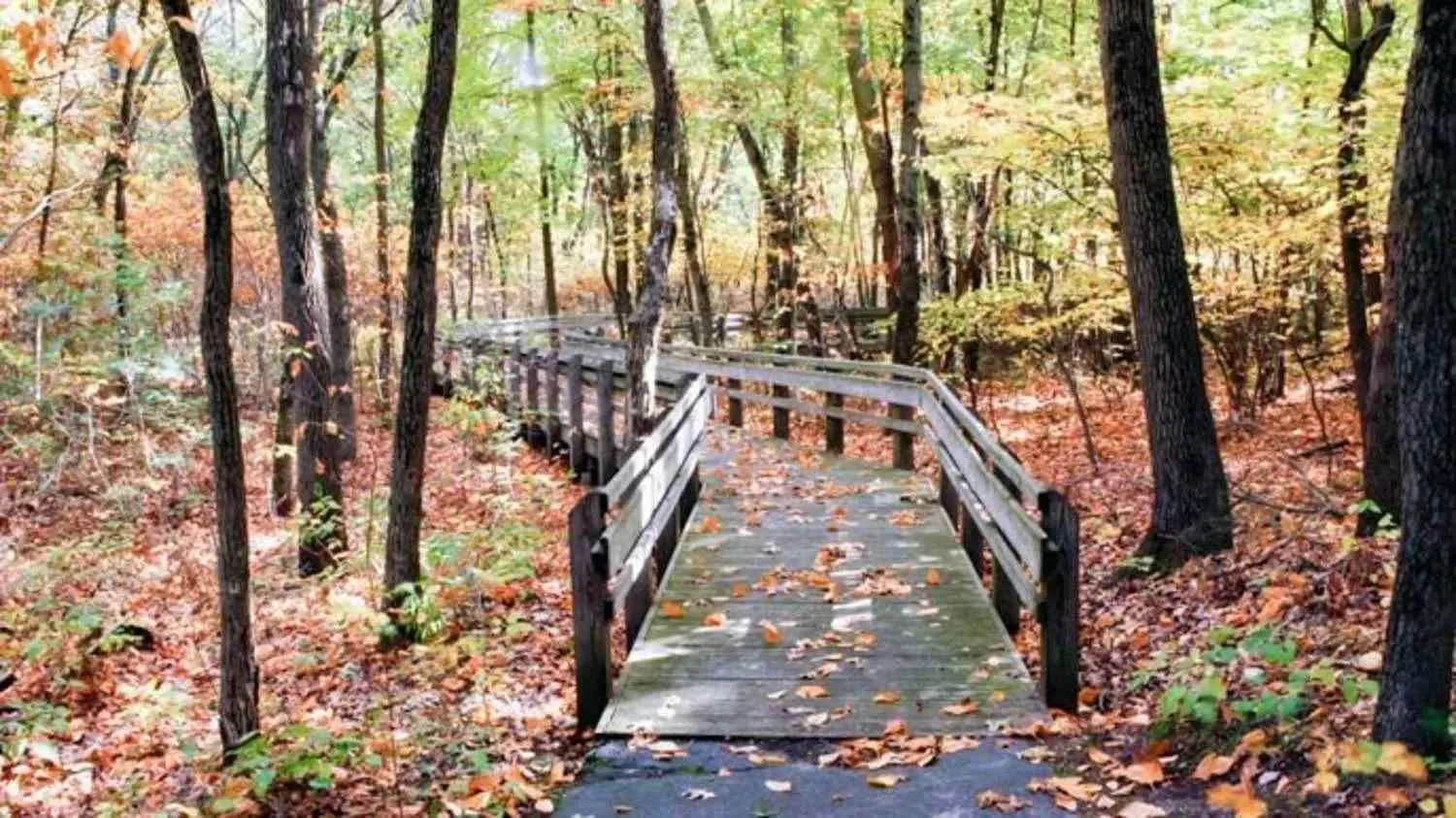 post-10 Best Family-friendly Hiking Trails To Take with Kids