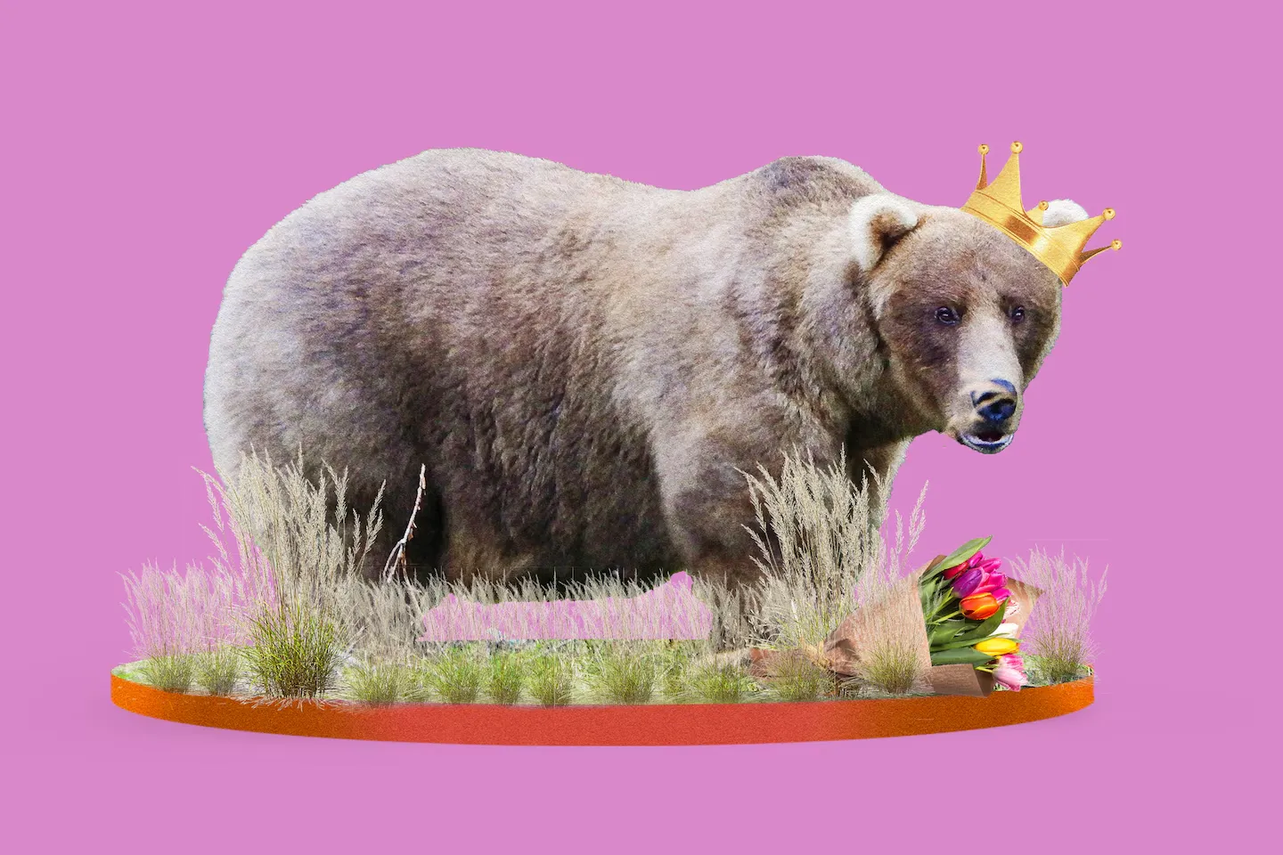 post-Fat Bear Week 2024’s Winner: Mama Bear Grazer Triumphs Again
