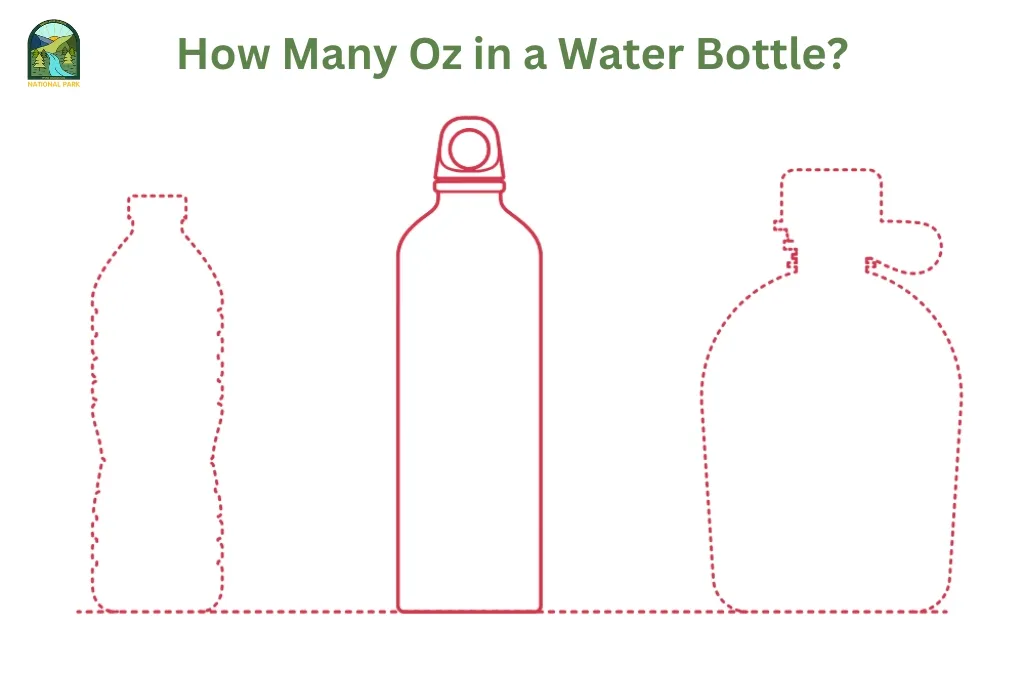 post-How Many Oz in a Water Bottle? The Essential Guide for Travelers