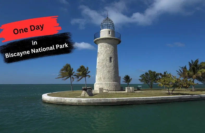 post-Sunrise to Sunset: One Day in Biscayne National Park