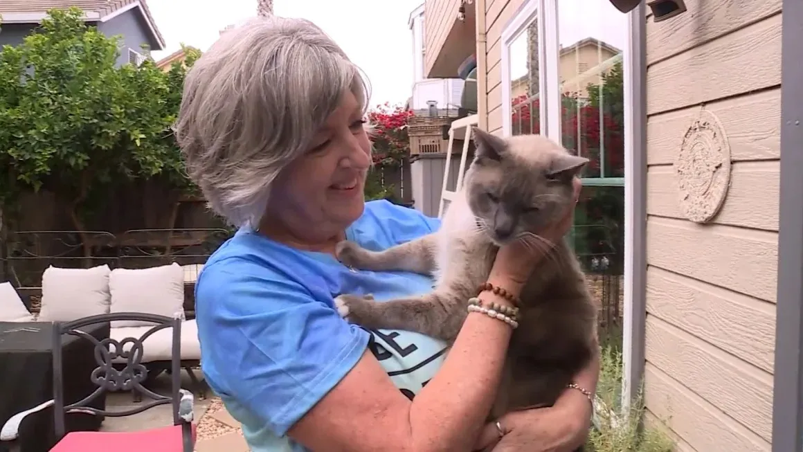 post-Pet Cat Got Lost in Yellowstone, Travels 900 Miles to Back Home: Miraculous Reunion