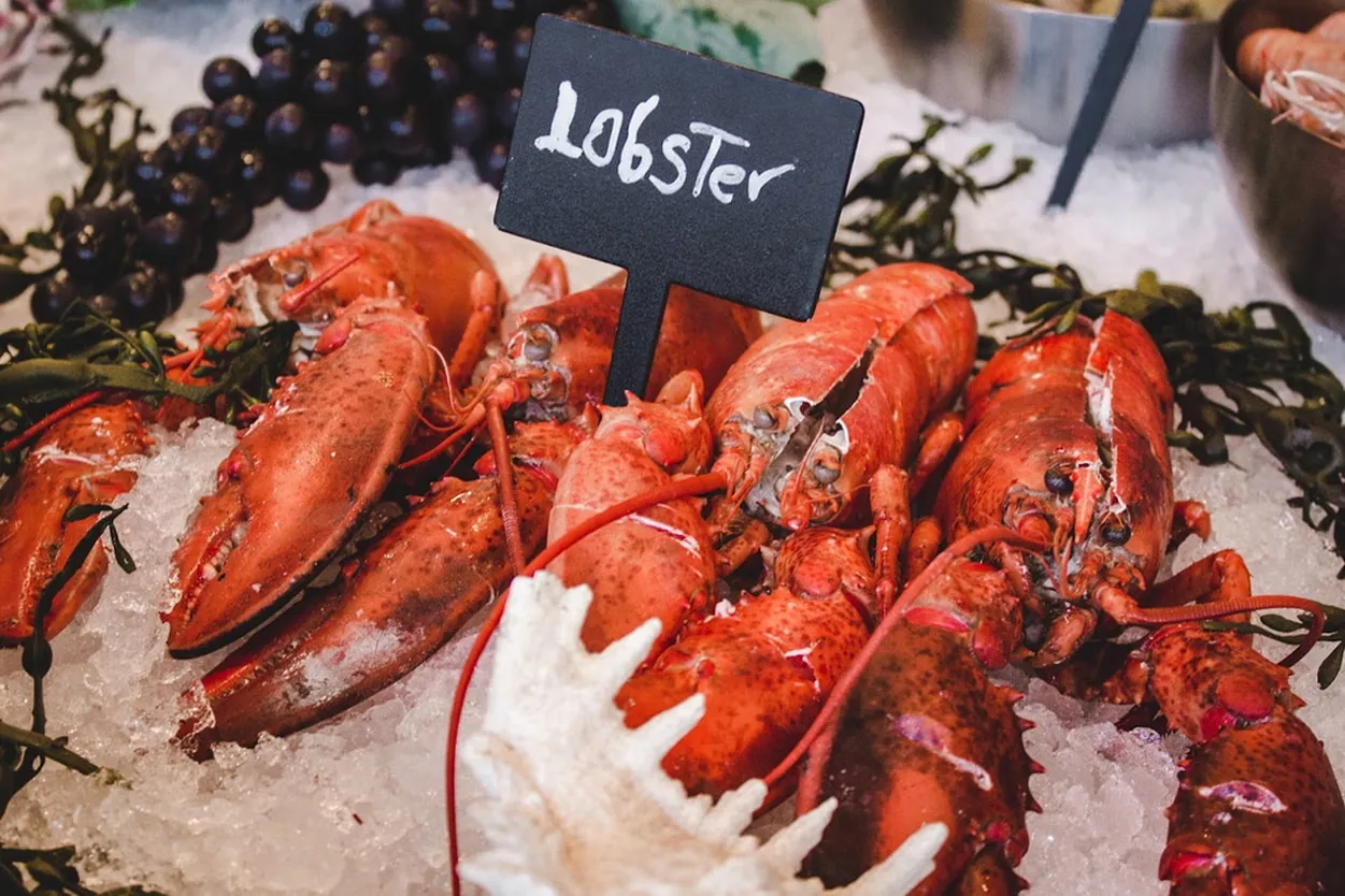 post-9 Best Restaurants In Acadia National Park: Where's nearest?
