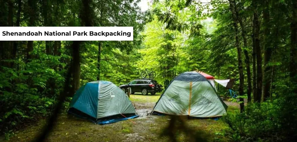 post-Recommend Shenandoah National Park Backpacking Trip And Permit