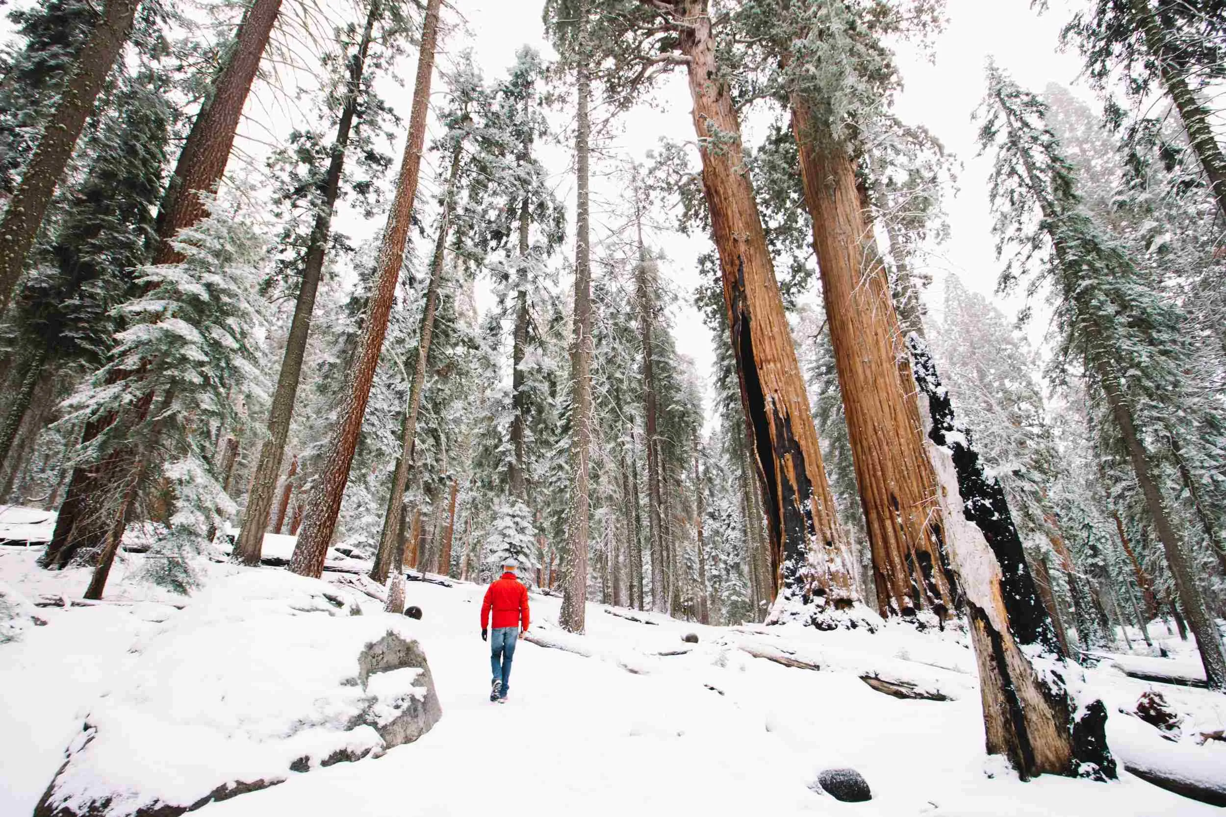 post-11 Best Winter Hiking Trails In The USA for Explorers