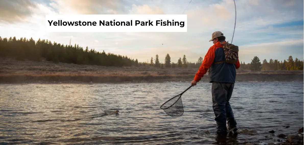 post-Yellowstone National Park Fishing: Guide and Tips for Fishing