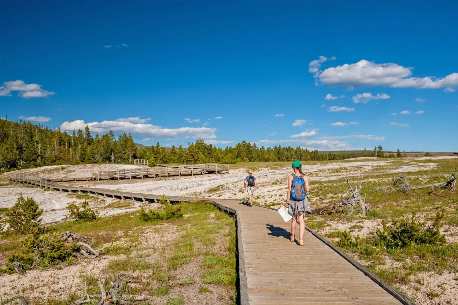 post-10 Best Hikes and Trails in Yellowstone National Park