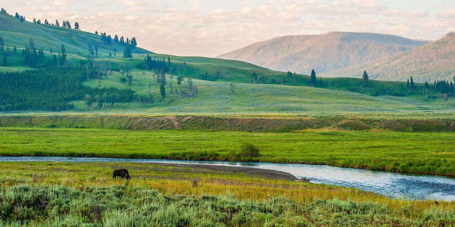 post-Visiting Yellowstone National Park In October: Review Overview