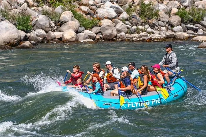 post-Explore Yellowstone National Park Summer: Experiences To Know
